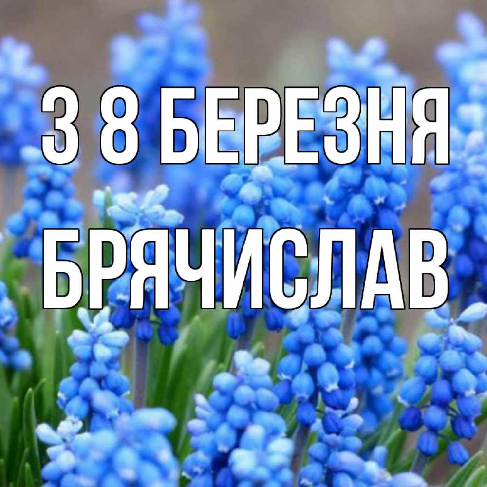 Открытка на каждый день з підписом, Брячислав З 8 БЕРЕЗНЯ Поздравительная открытка для женщин с цветами на праздничную дату Прикольна листівка з побажанням онлайн скачати безкоштовно 