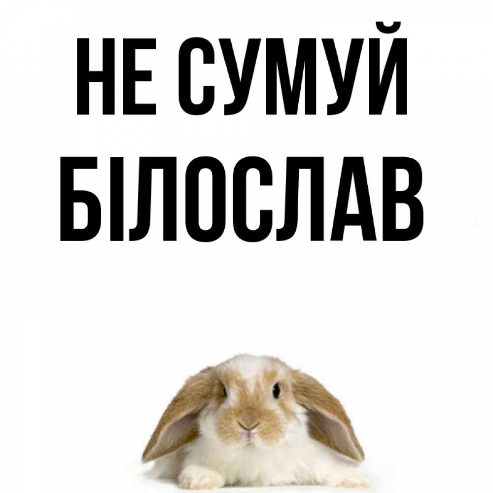 Открытка на каждый день з підписом, Білослав Не сумуй коричнево белый заяц с большими ушками Прикольна листівка з побажанням онлайн скачати безкоштовно 
