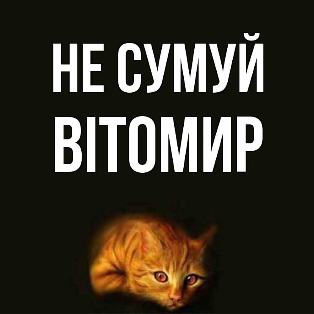 Открытка на каждый день з підписом, Вітомир Не сумуй лежащий кот в темноте Прикольна листівка з побажанням онлайн скачати безкоштовно 