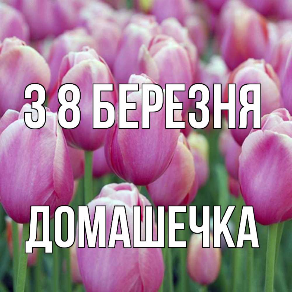 Открытка на каждый день з підписом, Домашечка З 8 БЕРЕЗНЯ на международный женский день 3 Прикольна листівка з побажанням онлайн скачати безкоштовно 
