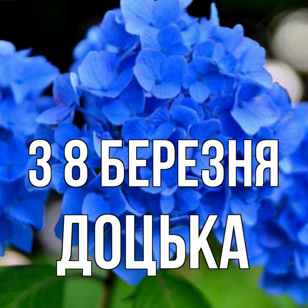 Открытка на каждый день з підписом, Доцька З 8 БЕРЕЗНЯ синие цветы Прикольна листівка з побажанням онлайн скачати безкоштовно 
