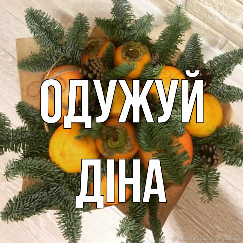 Открытка на каждый день з підписом, Діна Одужуй апельсины и хурьма Прикольна листівка з побажанням онлайн скачати безкоштовно 