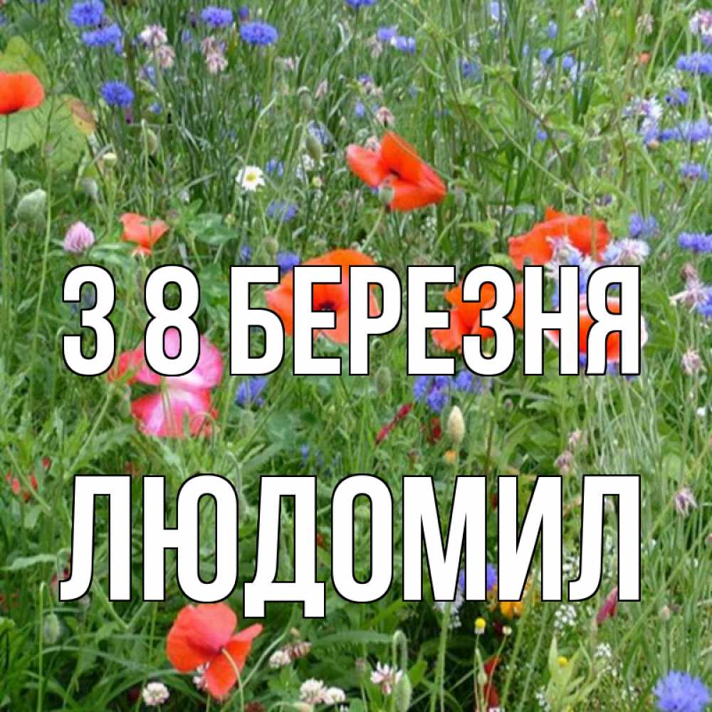 Открытка на каждый день з підписом, Людомил З 8 БЕРЕЗНЯ международный женский день 4 Прикольна листівка з побажанням онлайн скачати безкоштовно 