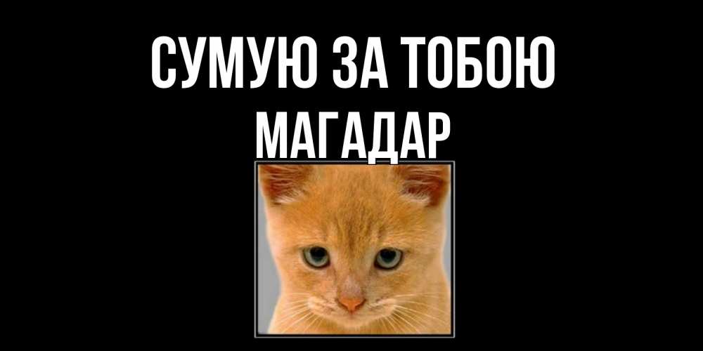 Открытка на каждый день з підписом, Магадар Сумую за тобою открытки рыжий котенок скучает по тебе Прикольна листівка з побажанням онлайн скачати безкоштовно 