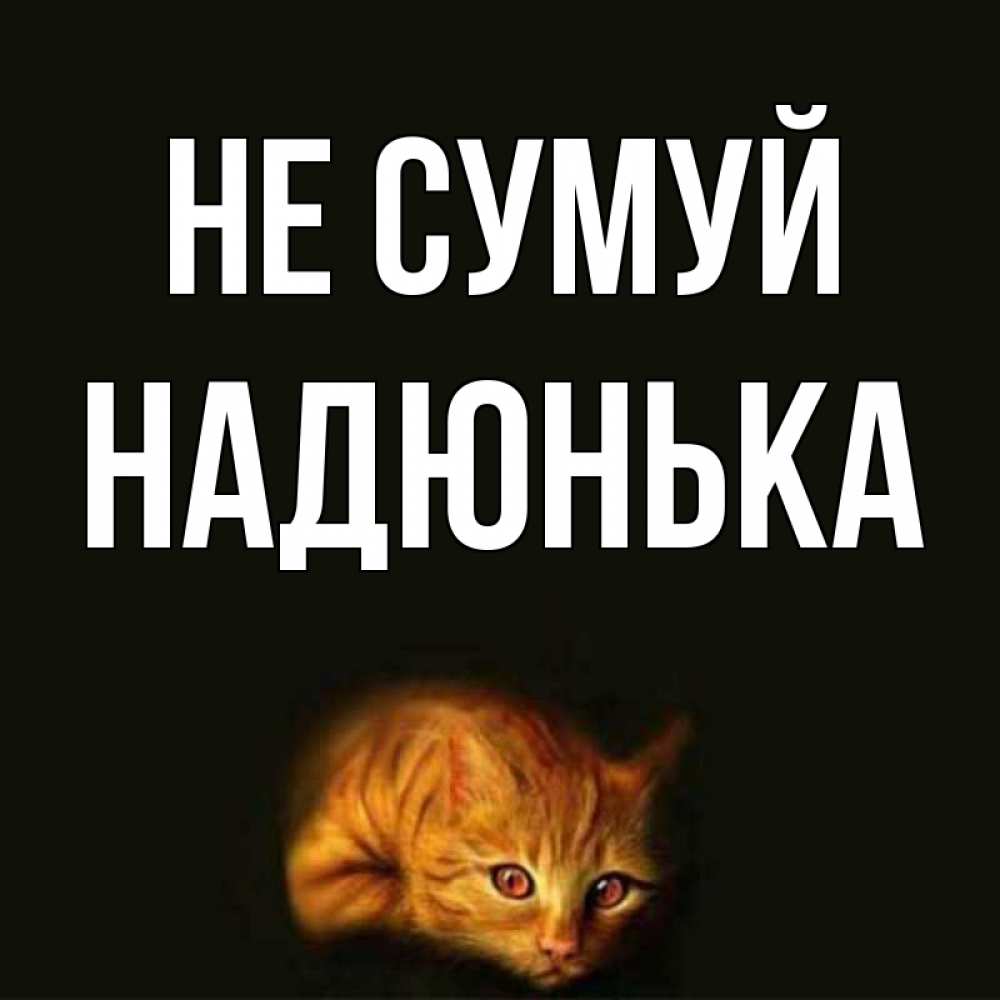 Открытка на каждый день з підписом, Надюнька Не сумуй лежащий кот в темноте Прикольна листівка з побажанням онлайн скачати безкоштовно 