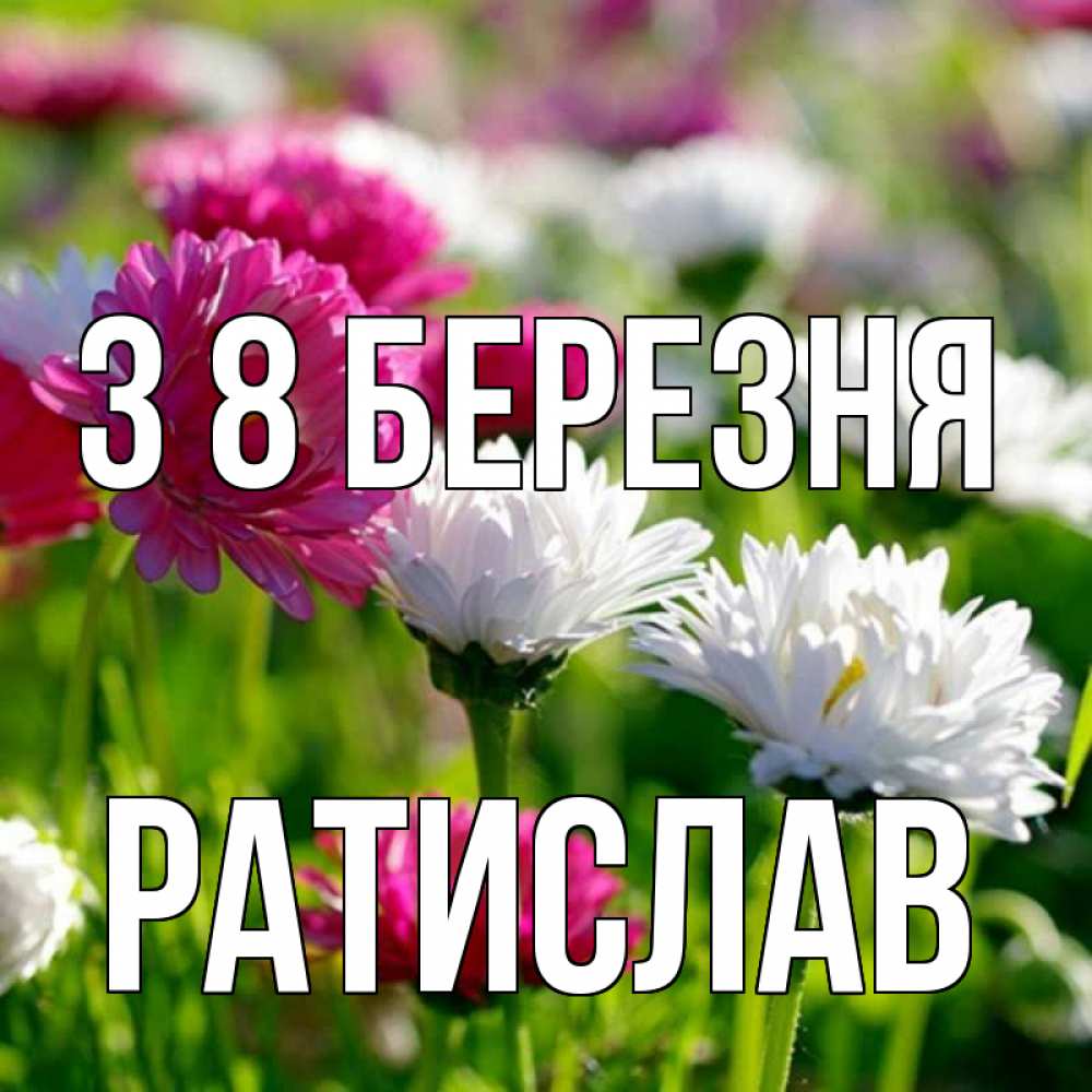 Открытка на каждый день з підписом, Ратислав З 8 БЕРЕЗНЯ международный женский день 1 Прикольна листівка з побажанням онлайн скачати безкоштовно 