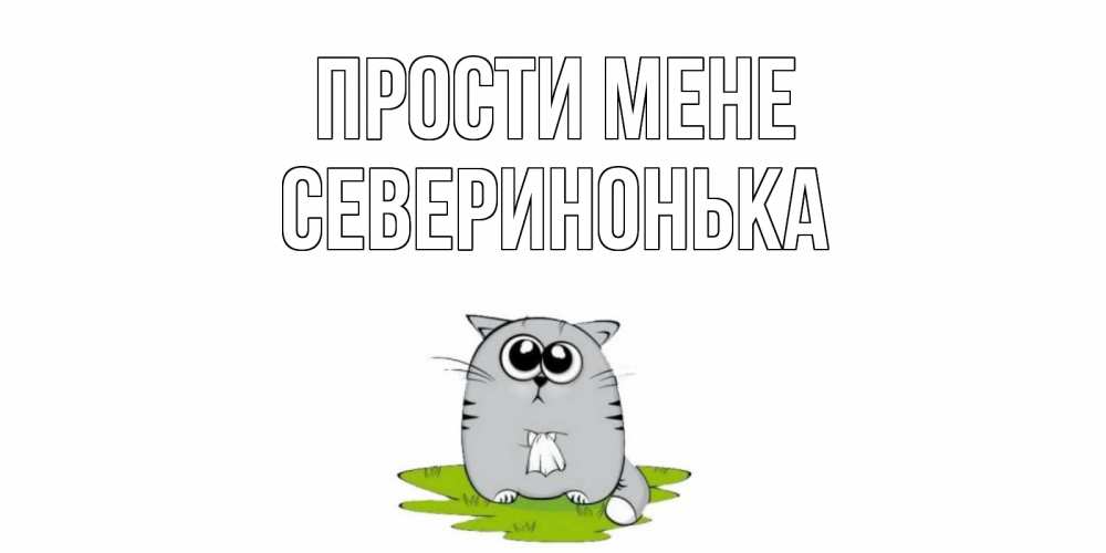 Открытка на каждый день з підписом, Северинонька Прости мене открытка с котиком просящим прощения Прикольна листівка з побажанням онлайн скачати безкоштовно 