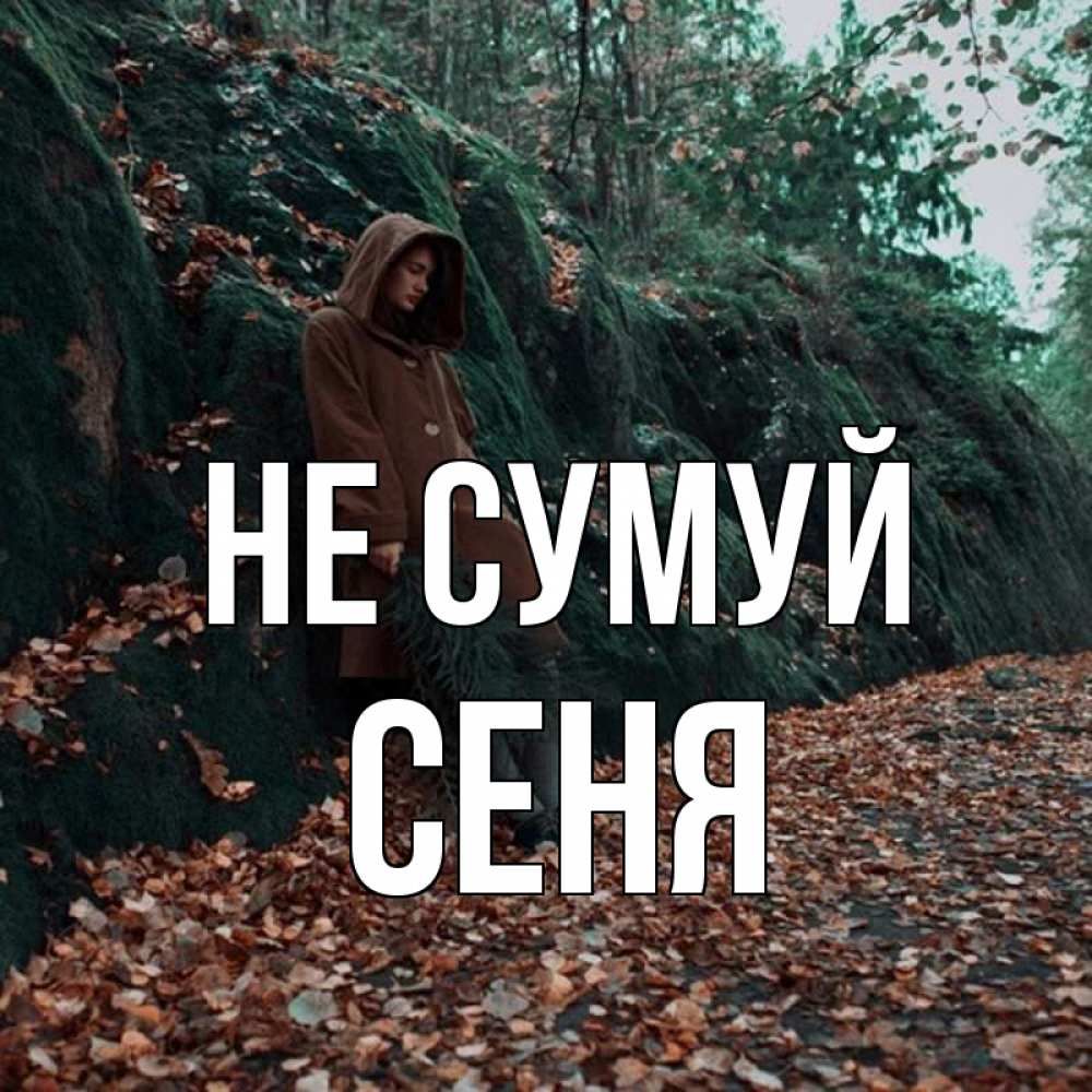 Открытка на каждый день з підписом, Сеня Не сумуй осенний лес Прикольна листівка з побажанням онлайн скачати безкоштовно 