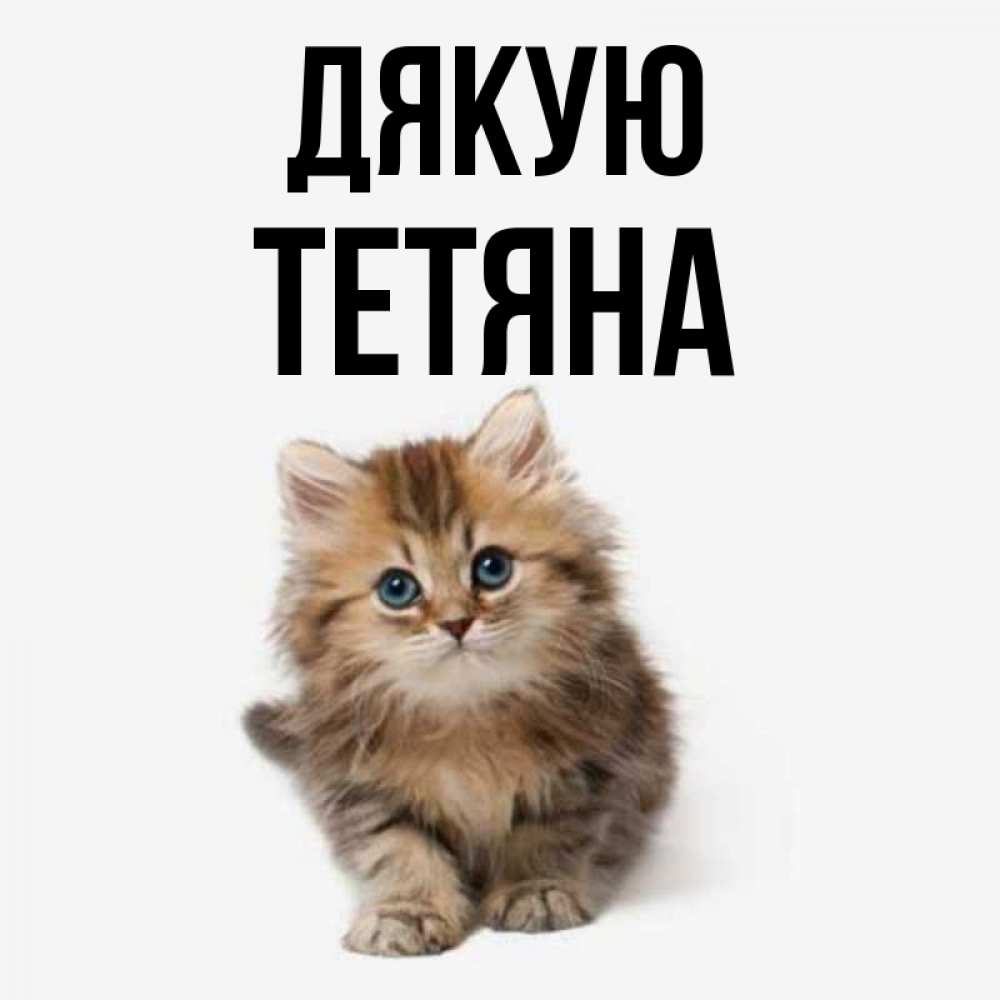 Открытка на каждый день з підписом, Тетяна Дякую пушистый котик Прикольна листівка з побажанням онлайн скачати безкоштовно 