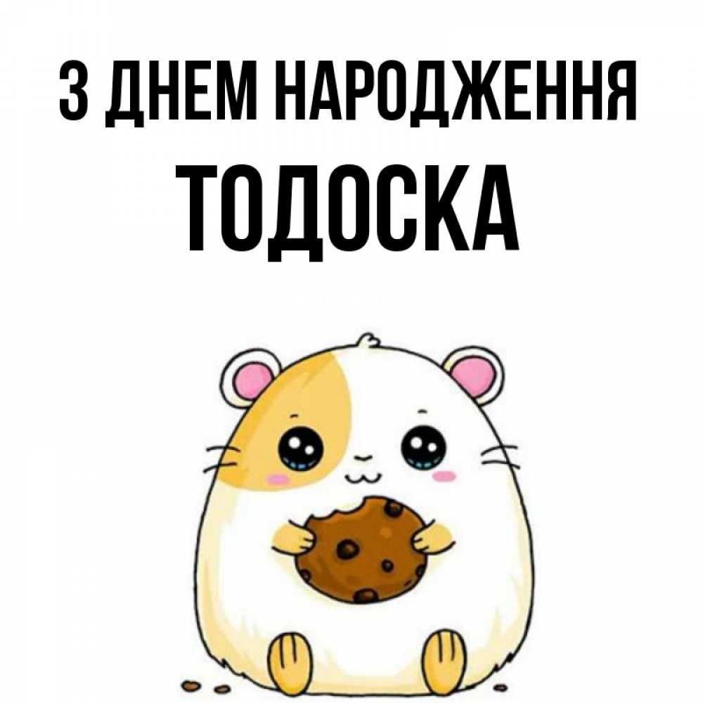 Открытка на каждый день з підписом, Тодоска З Днем народження с днюхой Прикольна листівка з побажанням онлайн скачати безкоштовно 