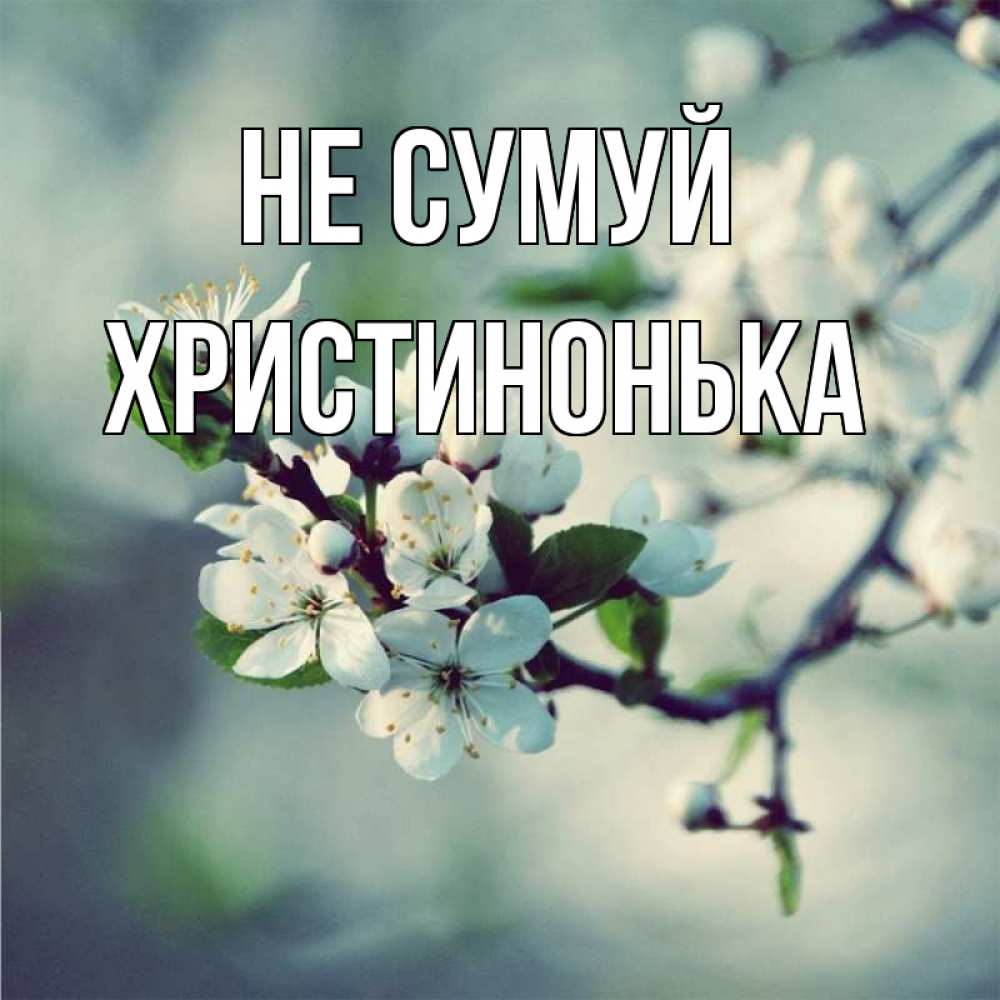 Открытка на каждый день з підписом, Христинонька Не сумуй яблоня в цвету 1 Прикольна листівка з побажанням онлайн скачати безкоштовно 