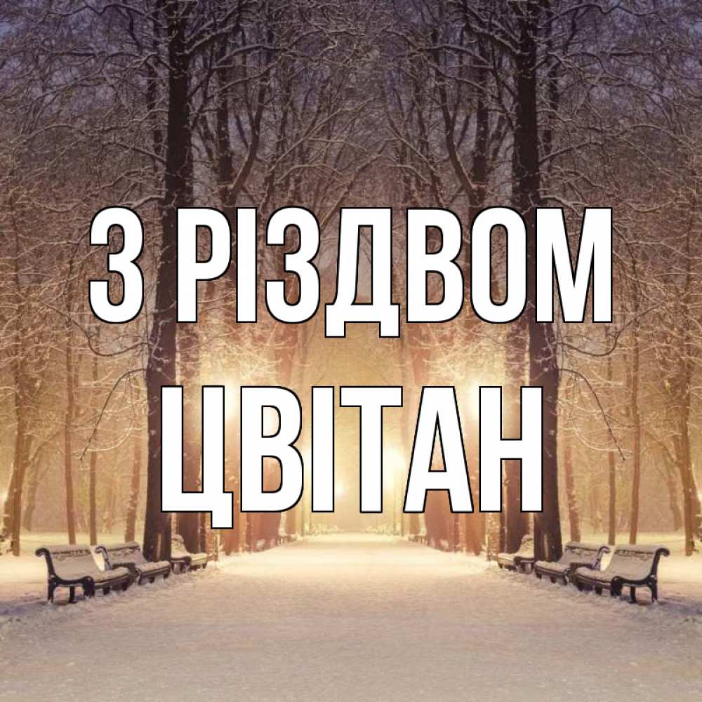 Открытка на каждый день з підписом, Цвітан З Різдвом зима, парк, фонарь, лес Прикольна листівка з побажанням онлайн скачати безкоштовно 