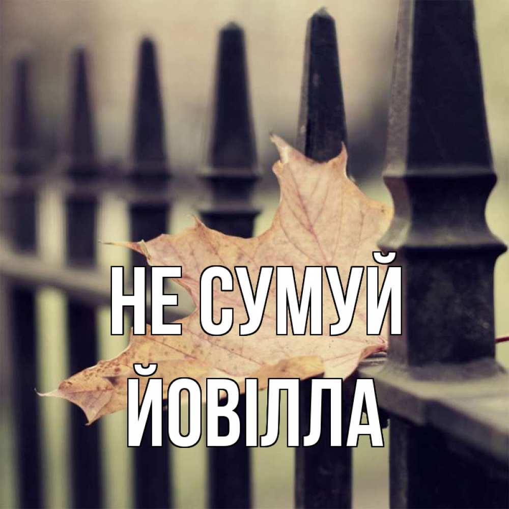 Открытка на каждый день з підписом, Йовілла Не сумуй лист клена Прикольна листівка з побажанням онлайн скачати безкоштовно 