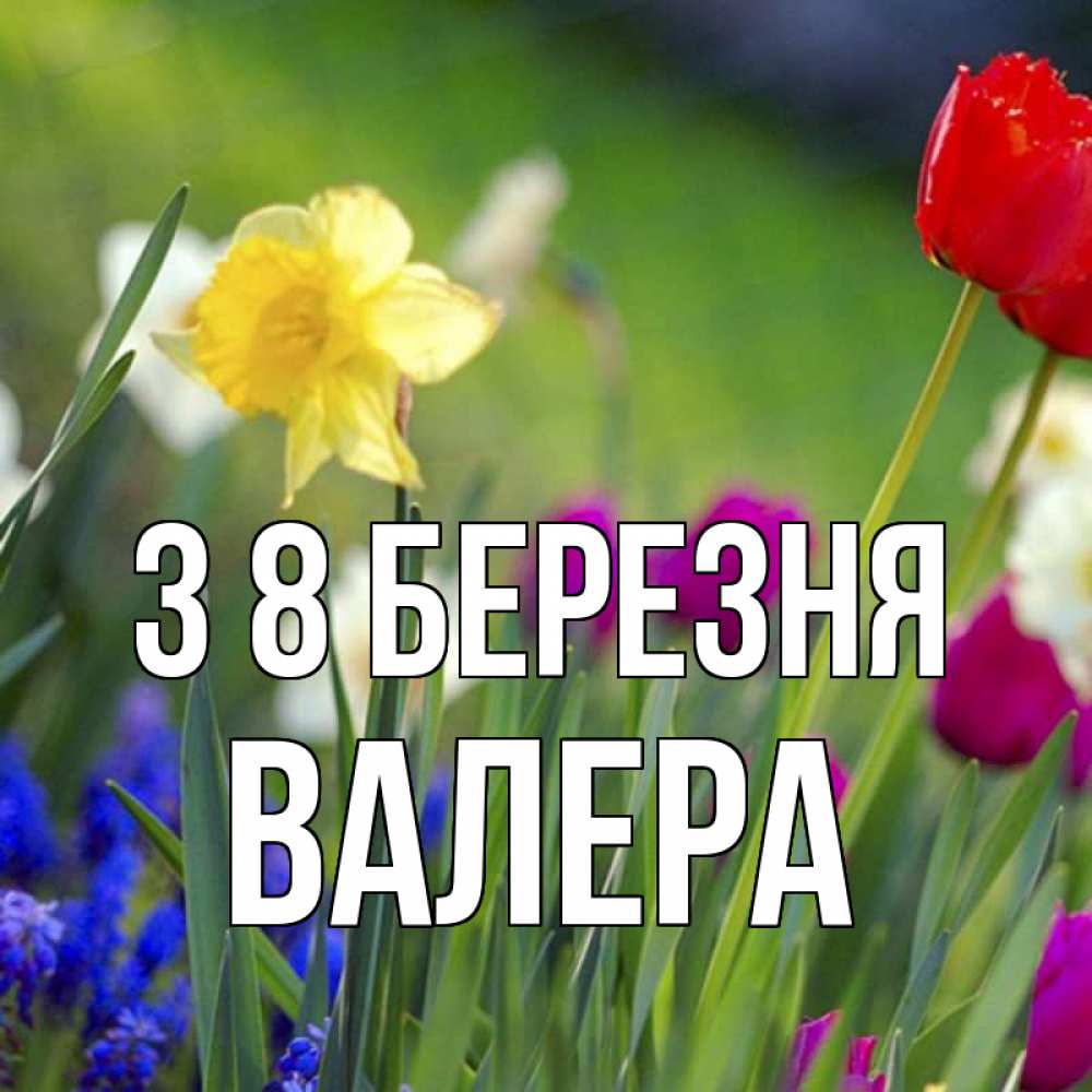 Открытка на каждый день з підписом, Валера З 8 БЕРЕЗНЯ международный женский день 3 Прикольна листівка з побажанням онлайн скачати безкоштовно 