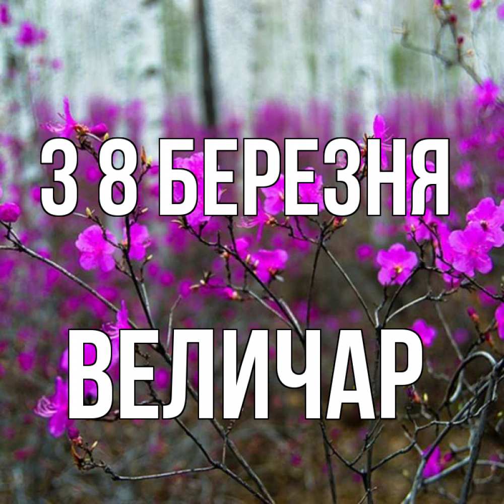 Открытка на каждый день з підписом, Величар З 8 БЕРЕЗНЯ дикие цветы Прикольна листівка з побажанням онлайн скачати безкоштовно 