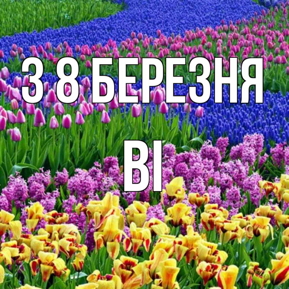 Открытка на каждый день з підписом, Ві З 8 БЕРЕЗНЯ цветы Прикольна листівка з побажанням онлайн скачати безкоштовно 