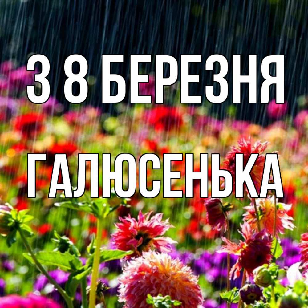 Открытка на каждый день з підписом, Галюсенька З 8 БЕРЕЗНЯ цветы под дождиком к международному женскому дню Прикольна листівка з побажанням онлайн скачати безкоштовно 