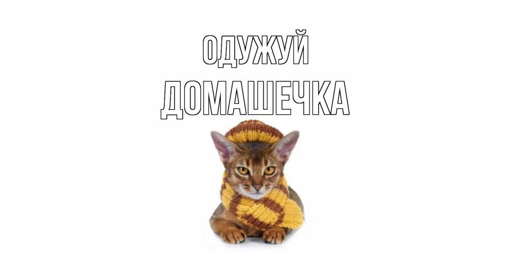 Открытка на каждый день з підписом, Домашечка Одужуй родные не болейте Прикольна листівка з побажанням онлайн скачати безкоштовно 