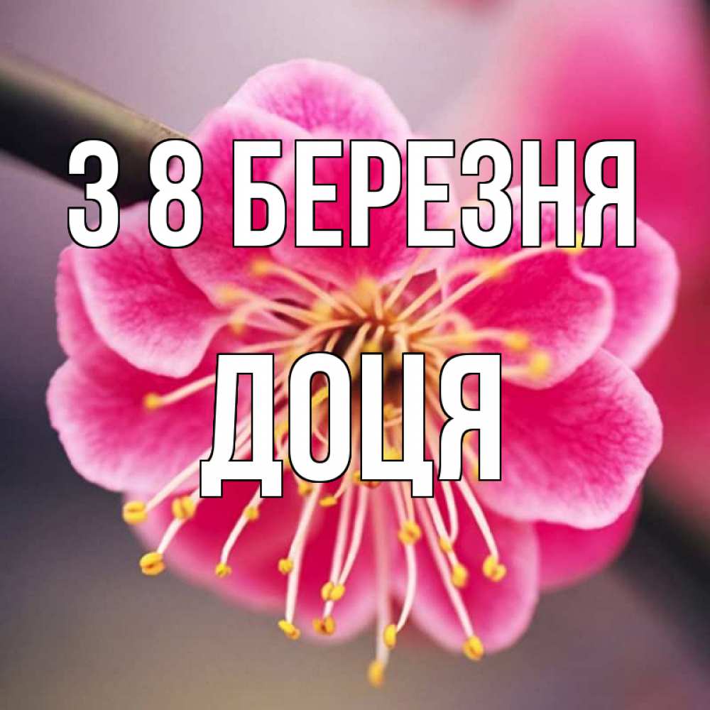 Открытка на каждый день з підписом, Доця З 8 БЕРЕЗНЯ цветы Прикольна листівка з побажанням онлайн скачати безкоштовно 