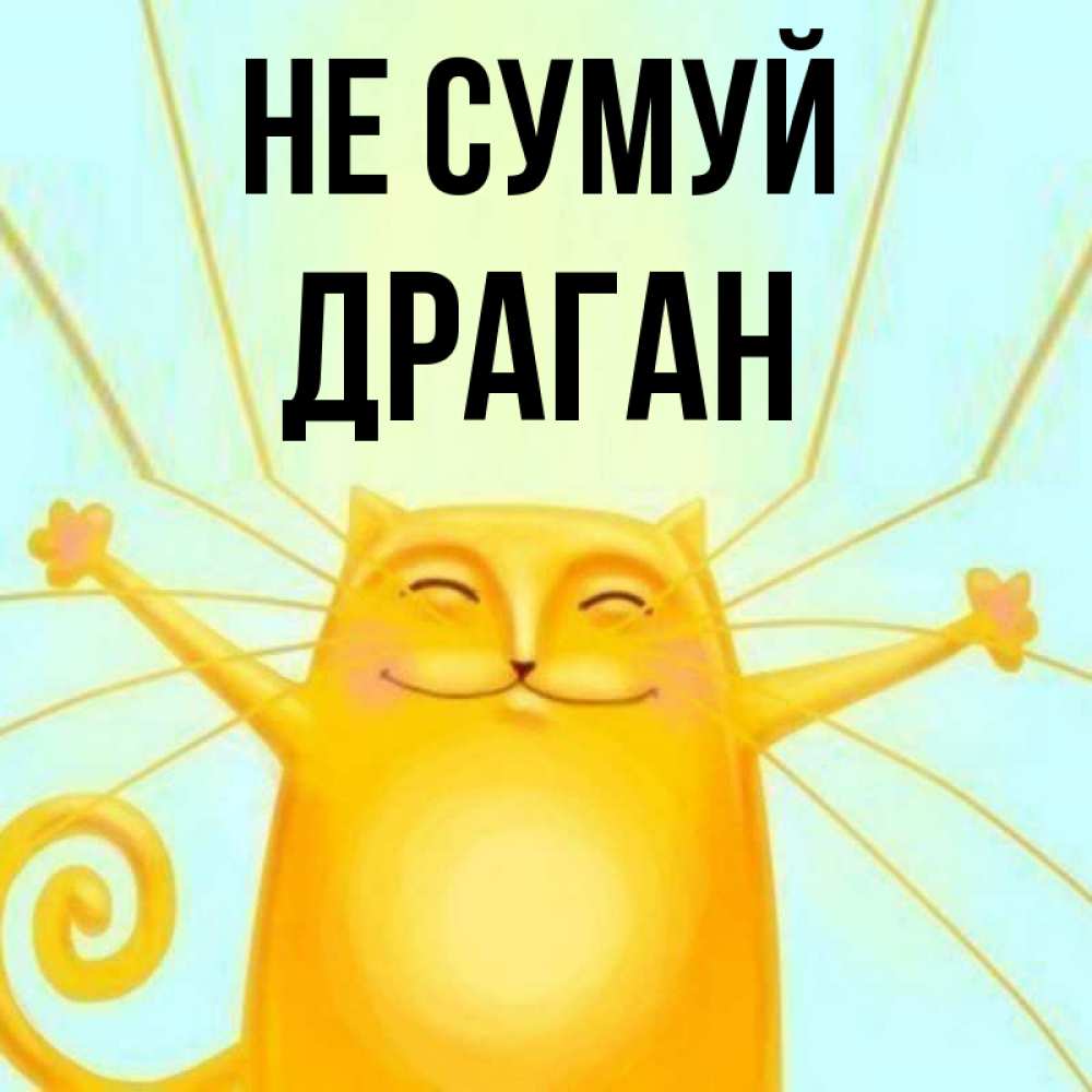 Открытка на каждый день з підписом, Драган Не сумуй обнимашки усатые Прикольна листівка з побажанням онлайн скачати безкоштовно 