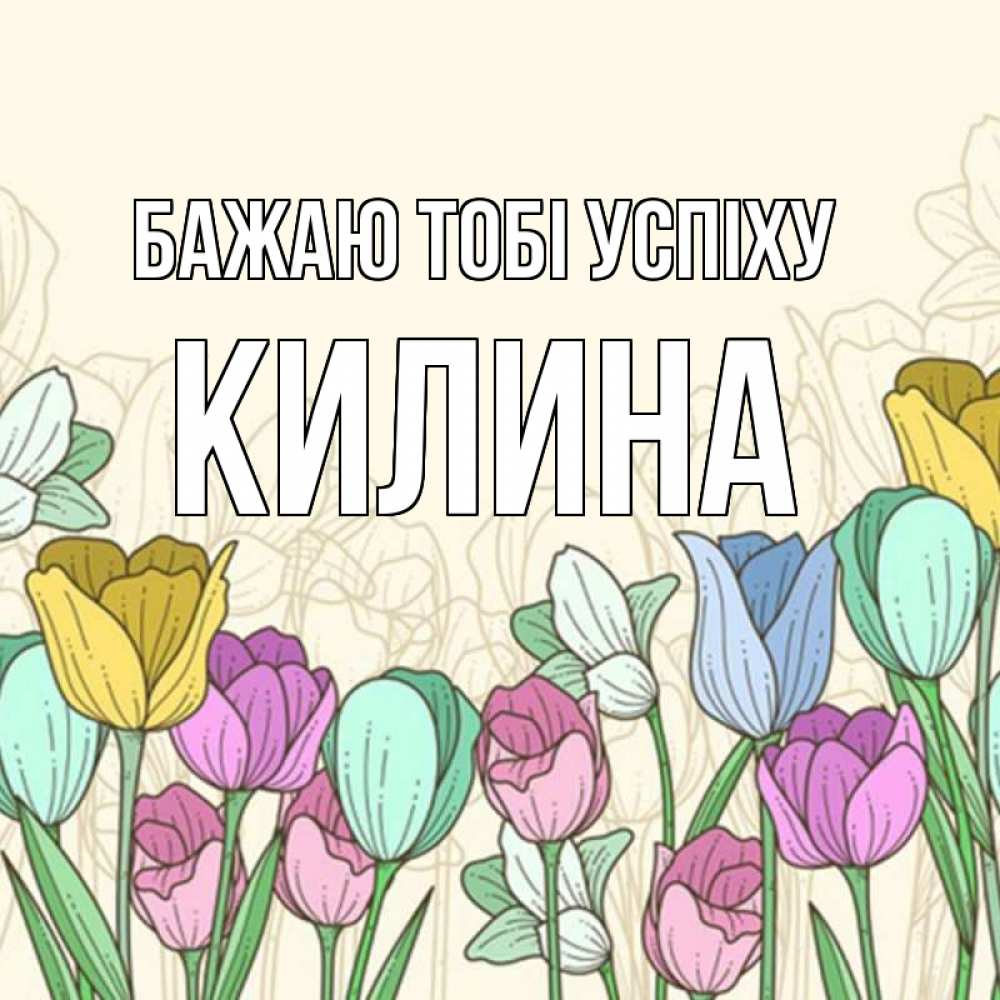 Открытка на каждый день з підписом, Килина Бажаю тобі успіху тюльпаны Прикольна листівка з побажанням онлайн скачати безкоштовно 