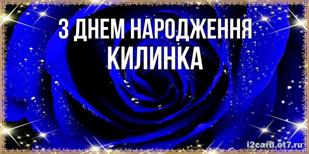Открытка на каждый день з підписом, Килинка З Днем народження голубые цветы в росе Прикольна листівка з побажанням онлайн скачати безкоштовно 