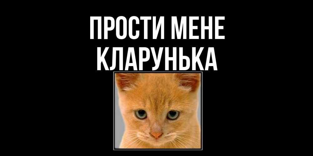 Открытка на каждый день з підписом, Кларунька Прости мене рыжий грустный кот просит прощения Прикольна листівка з побажанням онлайн скачати безкоштовно 
