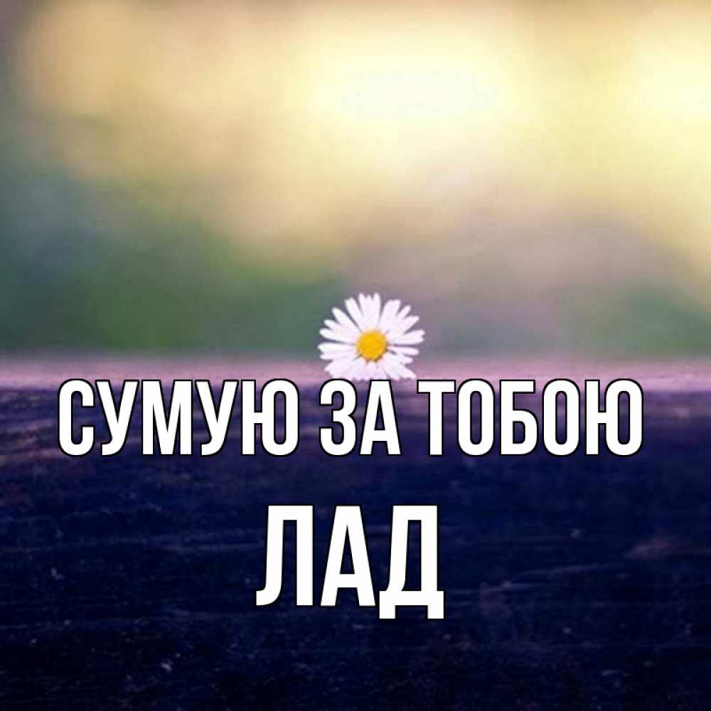 Открытка на каждый день з підписом, Лад Сумую за тобою приходи в гости Прикольна листівка з побажанням онлайн скачати безкоштовно 