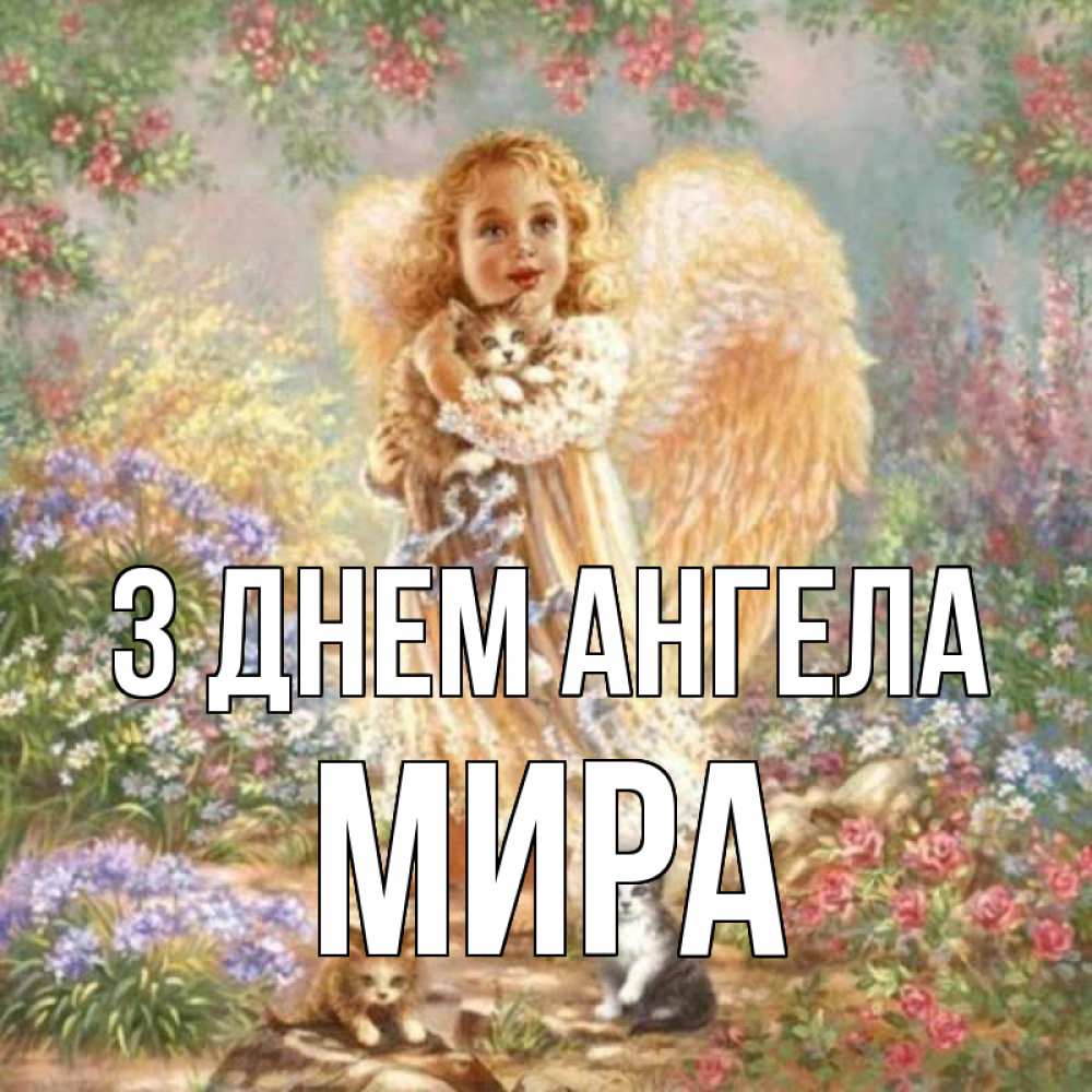 Открытка на каждый день з підписом, Мира З Днем ангела держит котенка Прикольна листівка з побажанням онлайн скачати безкоштовно 