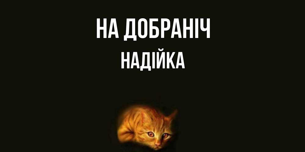 Открытка на каждый день з підписом, Надійка На добраніч кот Прикольна листівка з побажанням онлайн скачати безкоштовно 