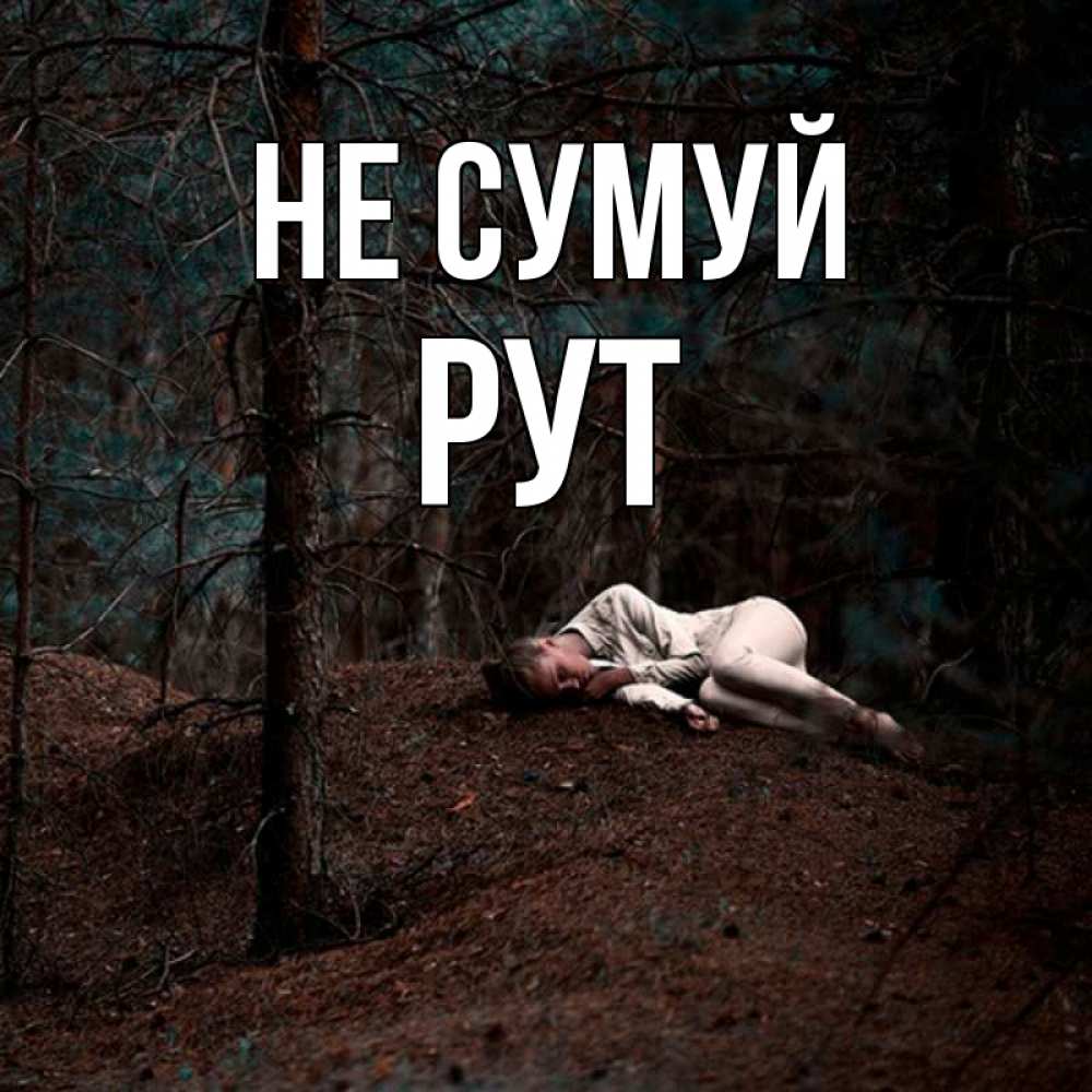 Открытка на каждый день з підписом, Рут Не сумуй лес Прикольна листівка з побажанням онлайн скачати безкоштовно 