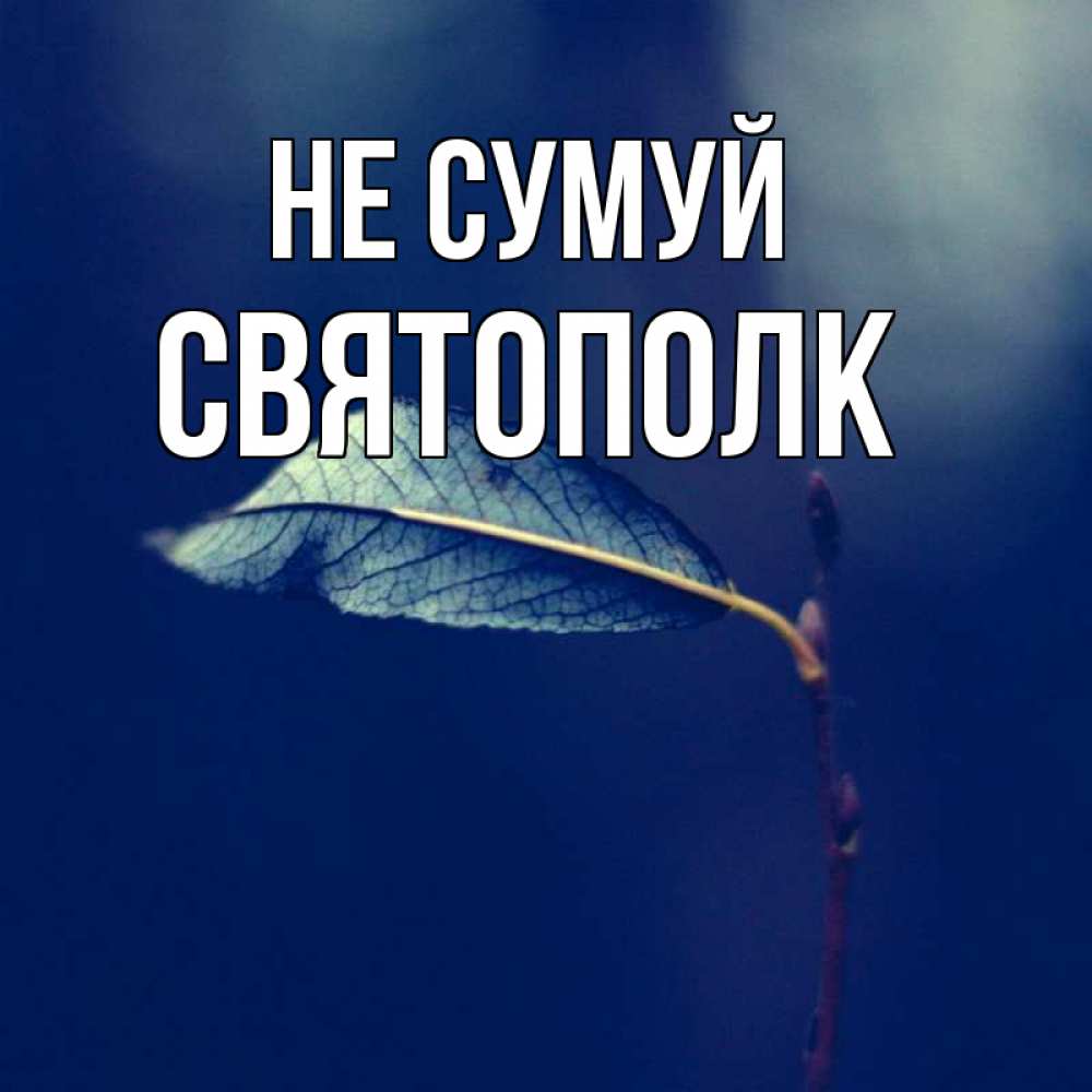 Открытка на каждый день з підписом, Святополк Не сумуй растение Прикольна листівка з побажанням онлайн скачати безкоштовно 
