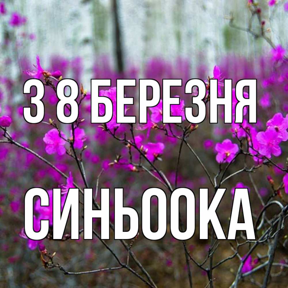 Открытка на каждый день з підписом, Синьоока З 8 БЕРЕЗНЯ дикие цветы Прикольна листівка з побажанням онлайн скачати безкоштовно 