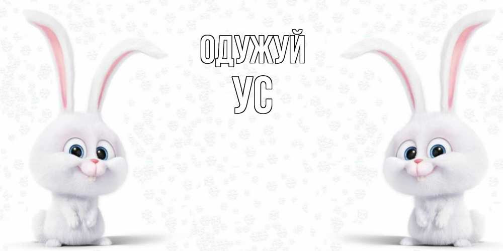 Открытка на каждый день з підписом, Ус Одужуй не болей с зайцем Прикольна листівка з побажанням онлайн скачати безкоштовно 