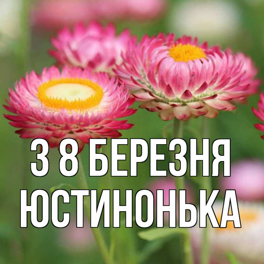 Открытка на каждый день з підписом, Юстинонька З 8 БЕРЕЗНЯ подарок на международный женский день Прикольна листівка з побажанням онлайн скачати безкоштовно 