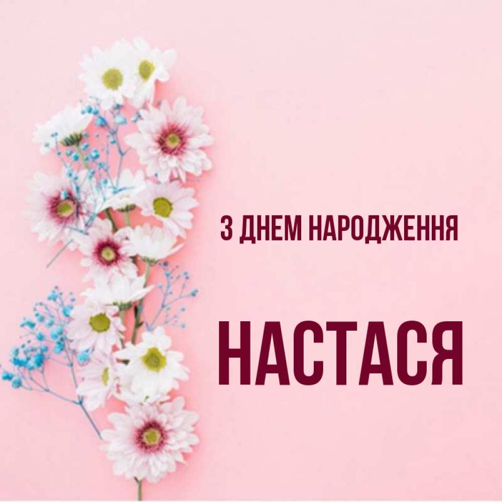Открытка на каждый день з підписом, Настася З Днем народження Родная моя с днем рождения тебя картинка с цветами белыми и голубыми Прикольна листівка з побажанням онлайн скачати безкоштовно 