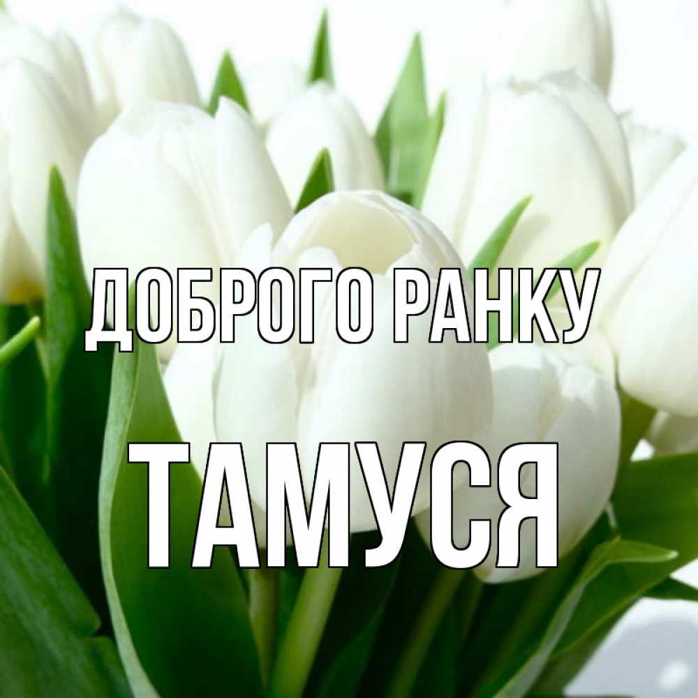 Открытка на каждый день з підписом, Тамуся Доброго ранку открытки на каждый день по именам Прикольна листівка з побажанням онлайн скачати безкоштовно 