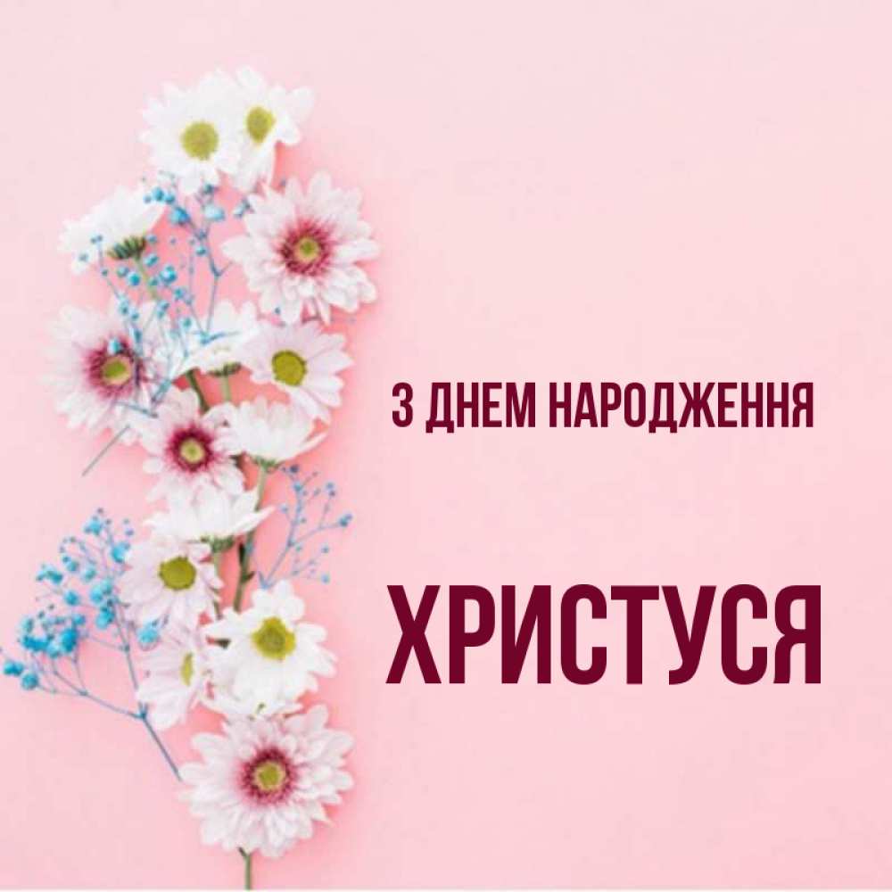 Открытка на каждый день з підписом, Христуся З Днем народження Родная моя с днем рождения тебя картинка с цветами белыми и голубыми Прикольна листівка з побажанням онлайн скачати безкоштовно 