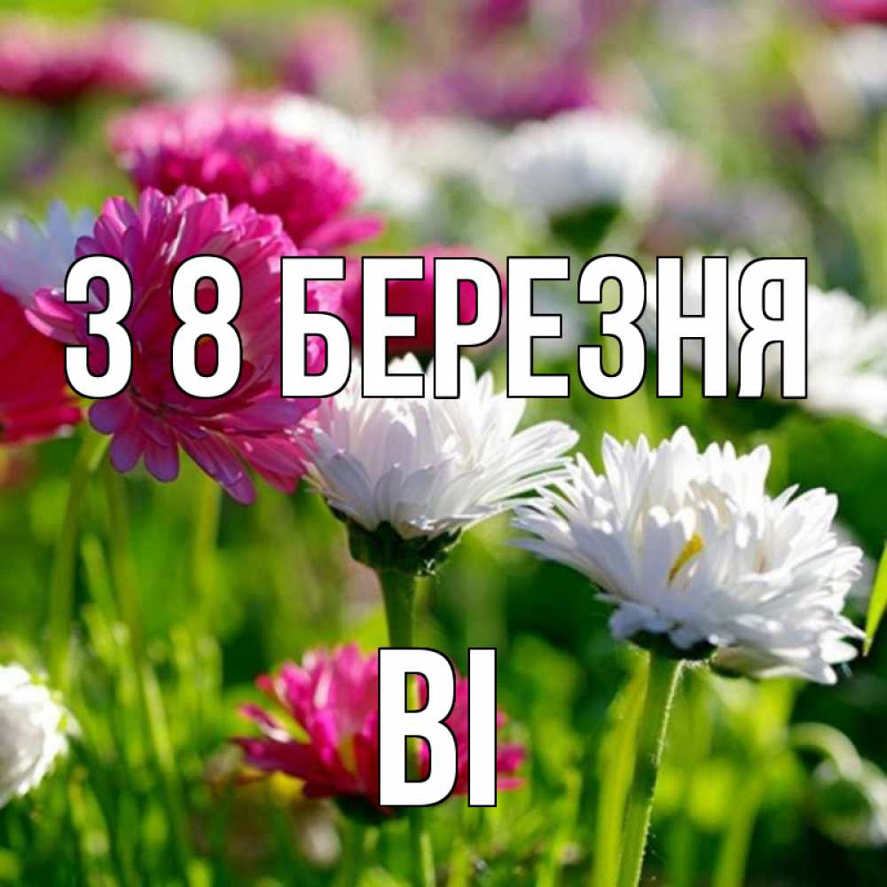 Открытка на каждый день з підписом, Ві З 8 БЕРЕЗНЯ международный женский день 1 Прикольна листівка з побажанням онлайн скачати безкоштовно 