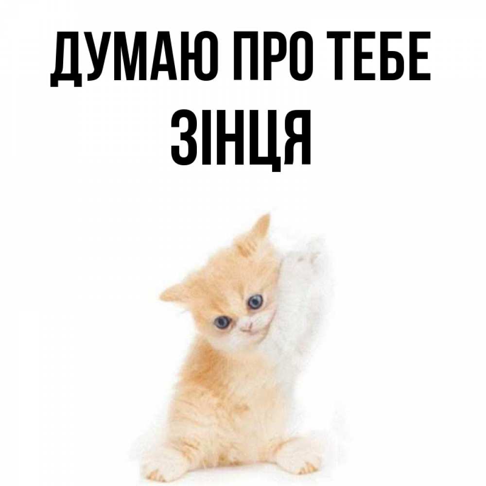Открытка на каждый день з підписом, Зінця Думаю про тебе зверушки и милота Прикольна листівка з побажанням онлайн скачати безкоштовно 