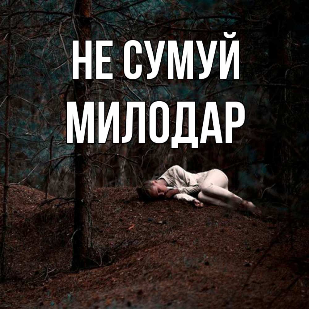 Открытка на каждый день з підписом, Милодар Не сумуй лес Прикольна листівка з побажанням онлайн скачати безкоштовно 
