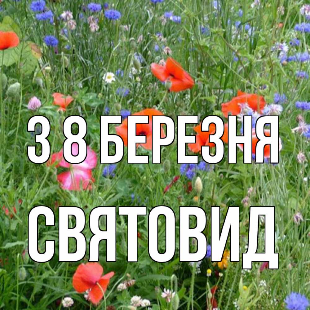 Открытка на каждый день з підписом, Святовид З 8 БЕРЕЗНЯ международный женский день 4 Прикольна листівка з побажанням онлайн скачати безкоштовно 