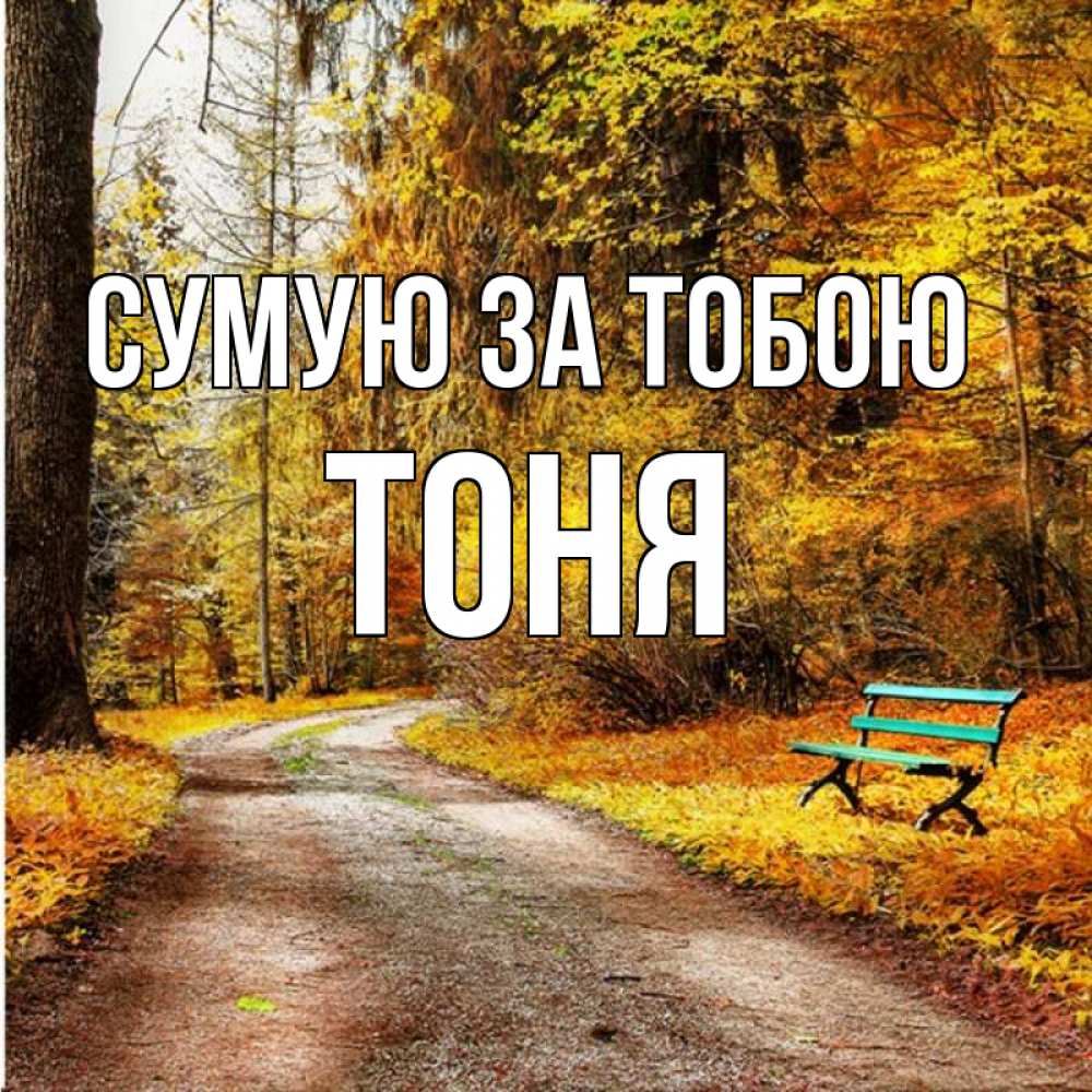 Открытка на каждый день з підписом, Тоня Сумую за тобою зеленая лавочка и осенний лес Прикольна листівка з побажанням онлайн скачати безкоштовно 
