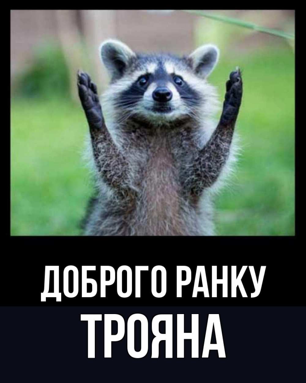 Открытка на каждый день з підписом, Трояна Доброго ранку хорошее настроение утречком Прикольна листівка з побажанням онлайн скачати безкоштовно 