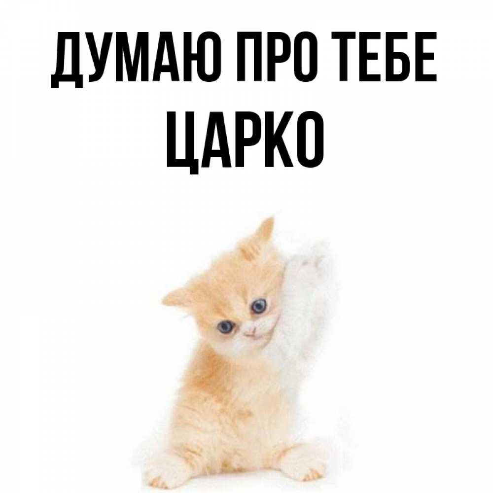 Открытка на каждый день з підписом, Царко Думаю про тебе зверушки и милота Прикольна листівка з побажанням онлайн скачати безкоштовно 