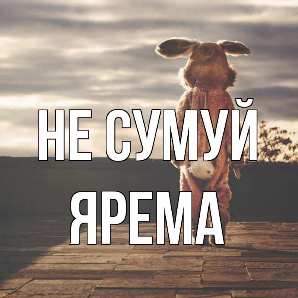 Открытка на каждый день з підписом, Ярема Не сумуй со спины Прикольна листівка з побажанням онлайн скачати безкоштовно 
