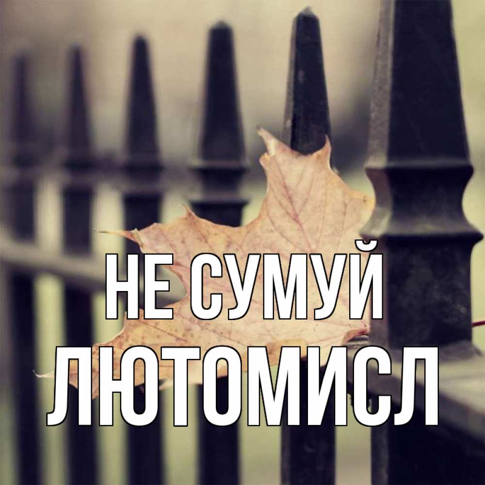 Открытка на каждый день з підписом, Лютомисл Не сумуй лист клена Прикольна листівка з побажанням онлайн скачати безкоштовно 