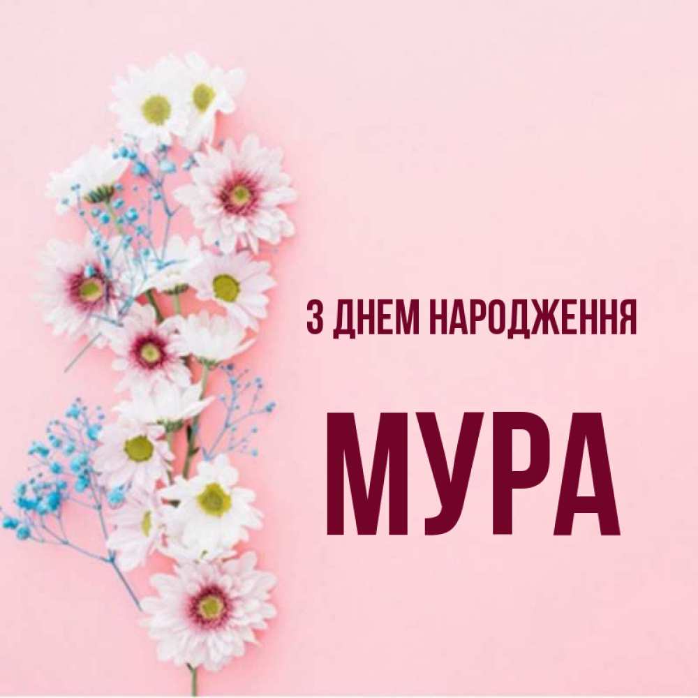 Открытка на каждый день з підписом, Мура З Днем народження Родная моя с днем рождения тебя картинка с цветами белыми и голубыми Прикольна листівка з побажанням онлайн скачати безкоштовно 
