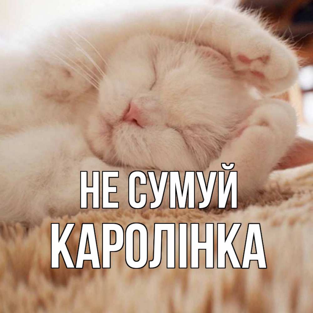 Открытка на каждый день з підписом, Каролінка Не сумуй белый кот Прикольна листівка з побажанням онлайн скачати безкоштовно 