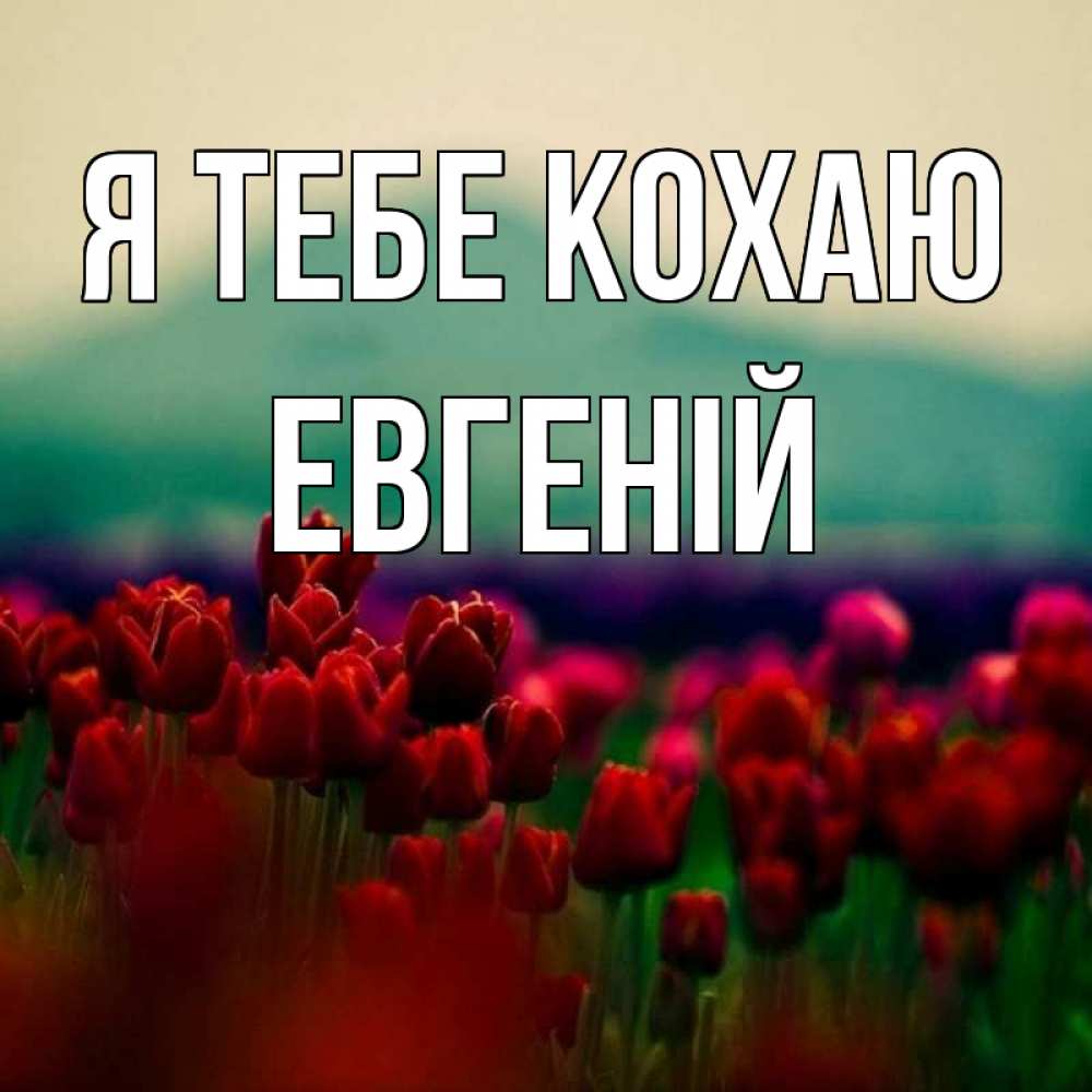 Открытка на каждый день з підписом, Евгеній Я тебе кохаю тюльпаны 4 Прикольна листівка з побажанням онлайн скачати безкоштовно 